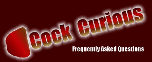 Cock Curious Frequently Asked Questions page header.